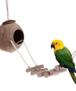 Alternative view of 9-Piece Parrots Chewing Toy Set - Natural Wood & Rope Bungee Toys for Anchovies, Coconut Hideaway with Ladder, Bird Perch Stand, Cage Accessories for Parakeets, Cockatiel, Conure, Mynah, Macaw