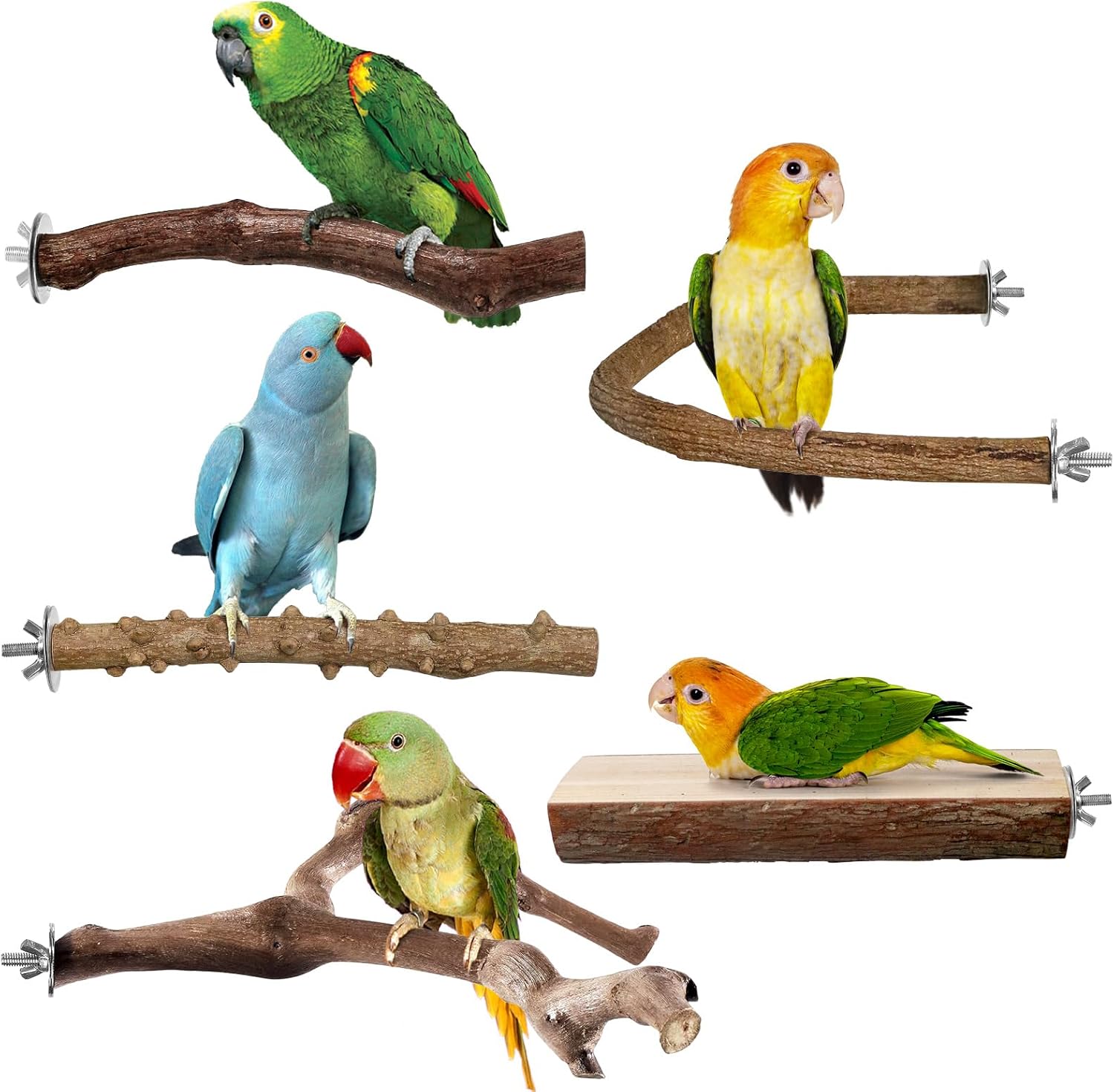 HPAWHOMEPART Bird Perches, 6pcs Natural Wood Birds Stand Branch, Bird Perch Chewing Stick Cage Accessories Parrot Climbing Standing Branches Paw Grinding Fork Sets for Parakeet Lovebirds Cockatiels - Image 8