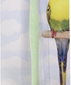 JW Pet Insight Sand Perch, Small, Assorted Colors