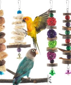 Bissap Bird Chew Toys, 5 Packs Parakeet Natural Wood Toys Parrot Hanging Cage Toy Bird Perch Stand for Small Bird Conure Cockatiel Parrotlet Lovebird Budgie