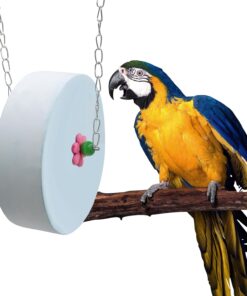 BingegePet Bird Beak Grinding Stone u2013 Large Blue Cylinder Parrot Chew Toy with Metal Hanging Chain u2013 Cage Accessory for Macaws, African Greys, Cockatiels & Medium to Large Birds