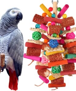 Kyouki Parrots Toys for Cockatiels, Budgies, Conures, Lovebirds, Quakers, Parrotlets, Caiques, Senegals, Meyer's & Other Small/Medium Birds - Natural Chewing & Foraging Toy with