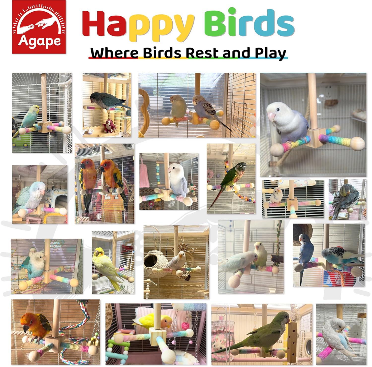 Agape Bird Toy, Parrot 360° Interactive Rotating Perch, Bird Cage Accessories for Small and Medium Parrots to Expend Energy, Wooden Stand for Parakeets Cockatiels Lovebirds Conures Finches Budgies - Image 5